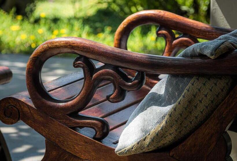 פנסיון Schulphoek Seafront House