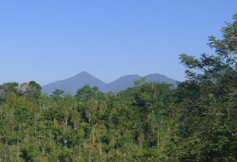 Pansiyon Villa Wastra