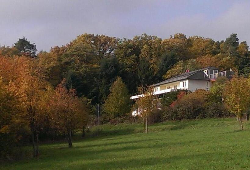 펜션 Zum Rebhang Bed & Breakfast