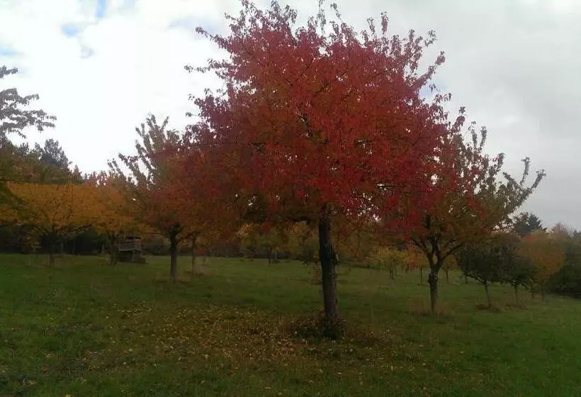 Majatalo Zum Rebhang Bed & Breakfast