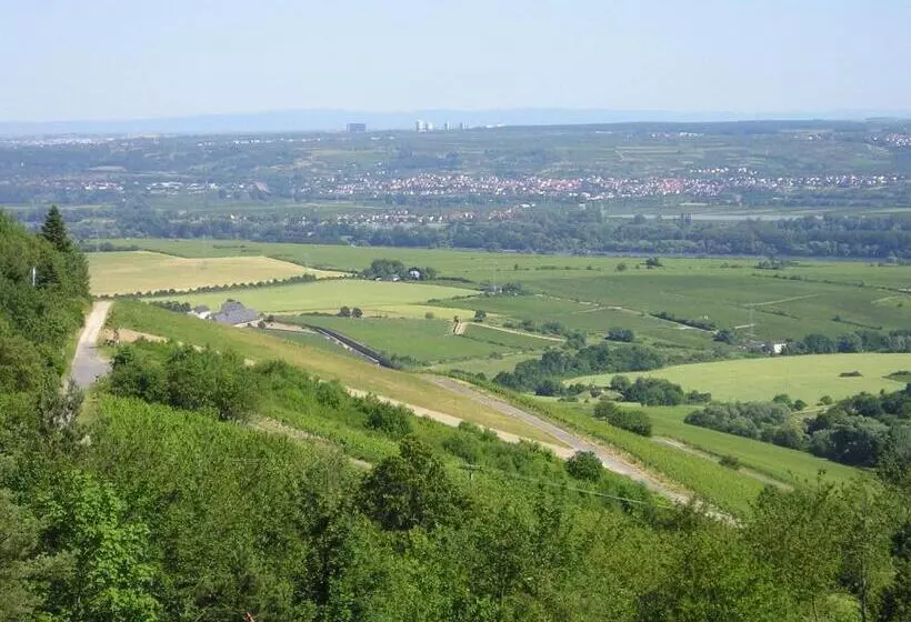 Majatalo Zum Rebhang Bed & Breakfast