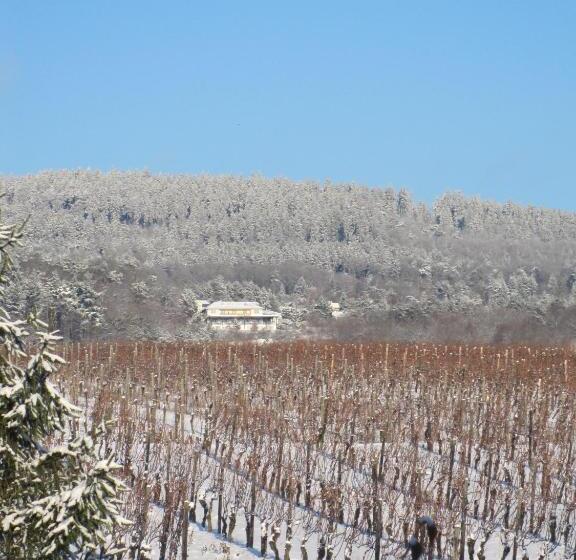 펜션 Zum Rebhang Bed & Breakfast