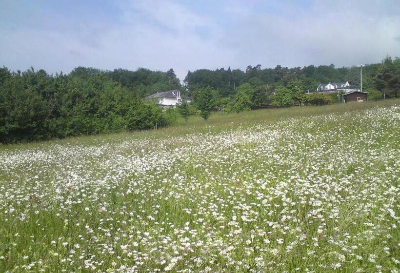 펜션 Zum Rebhang Bed & Breakfast