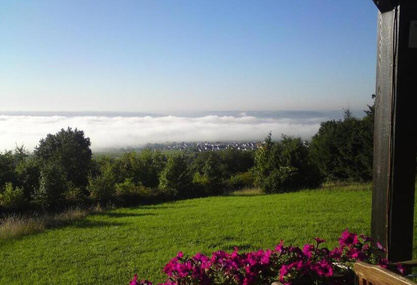 펜션 Zum Rebhang Bed & Breakfast