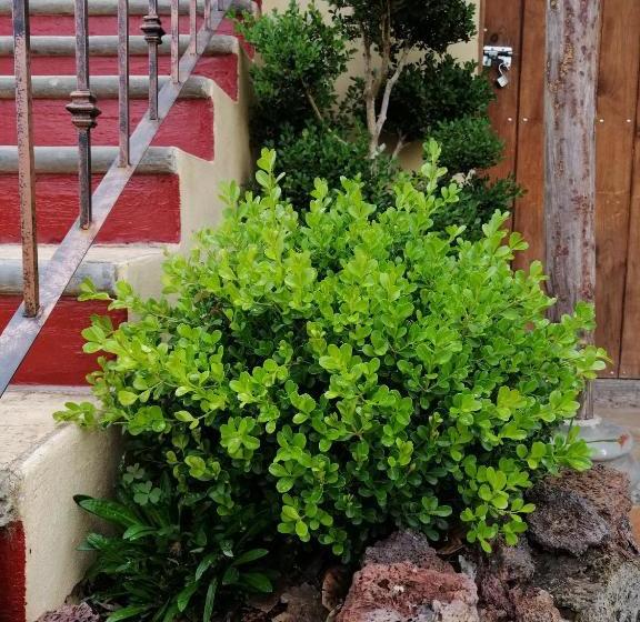 Hostel Posada El Camino