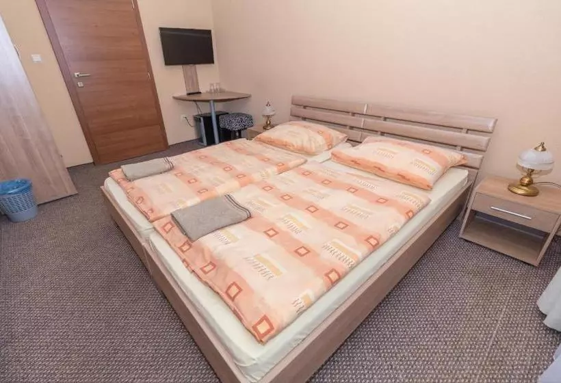 ペンション Penzión Kastelán