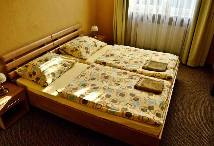 ペンション Penzión Kastelán