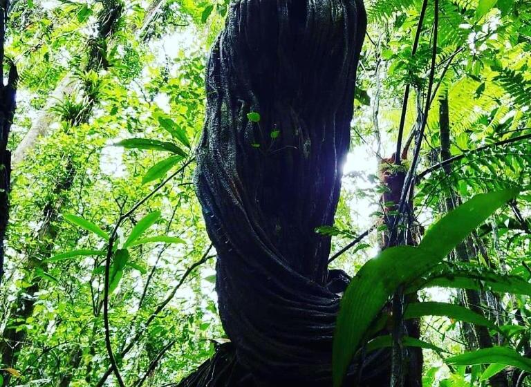 Pensão Pousada Do Oasis