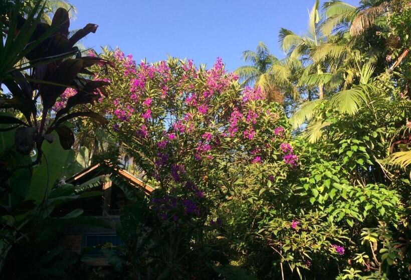 Pensão Pousada Do Oasis