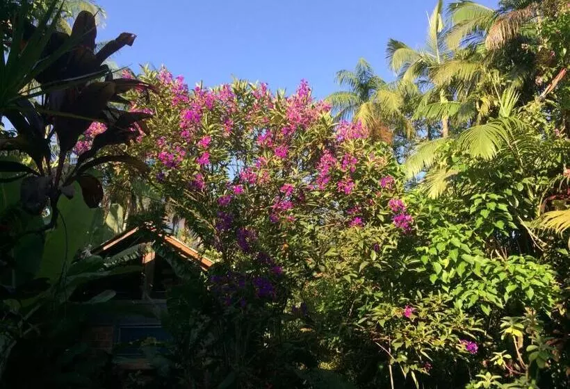 ペンション Pousada Do Oasis