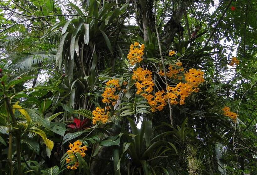 Pensão Pousada Do Oasis