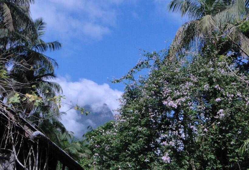 Pensão Pousada Do Oasis