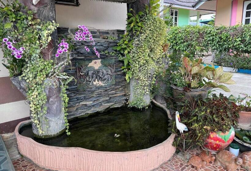 Pensiune Tassana House