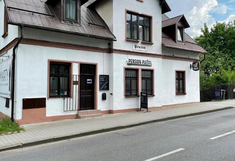 Pension Plestil