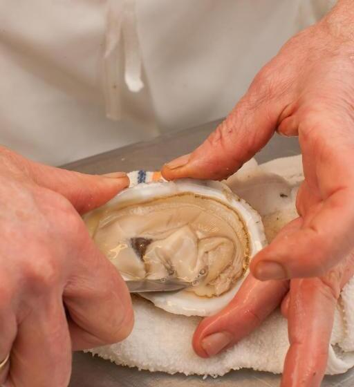 فندق صغير Snowvillage Inn