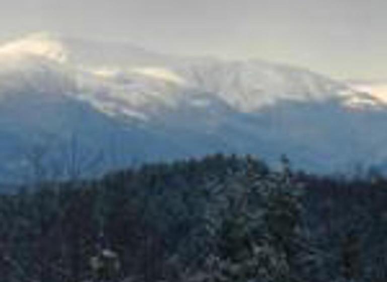 فندق صغير Snowvillage Inn