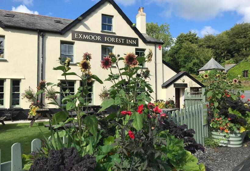 호스텔 The Exmoor Forest Inn