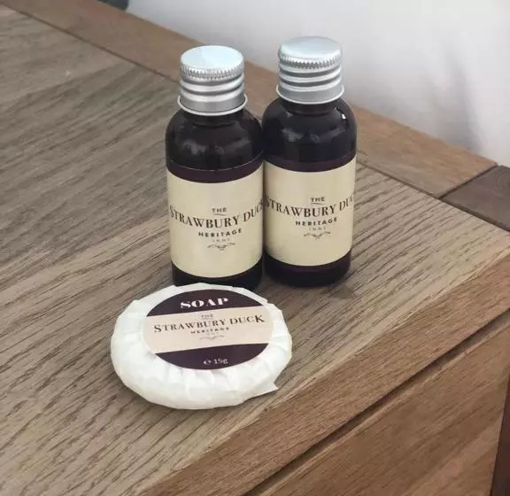 Retkeilymaja The Strawbury Duck Inn