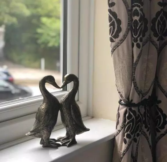 Retkeilymaja The Strawbury Duck Inn