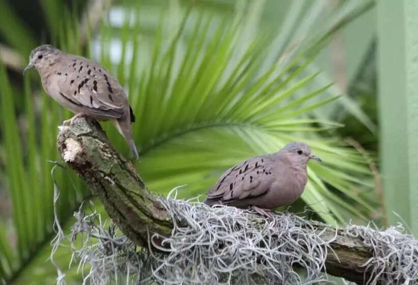 Aparthotel Tropenhaus Bansin