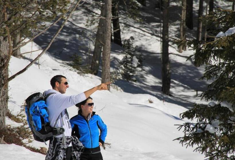 酒店 Unterpfaffstall Hof