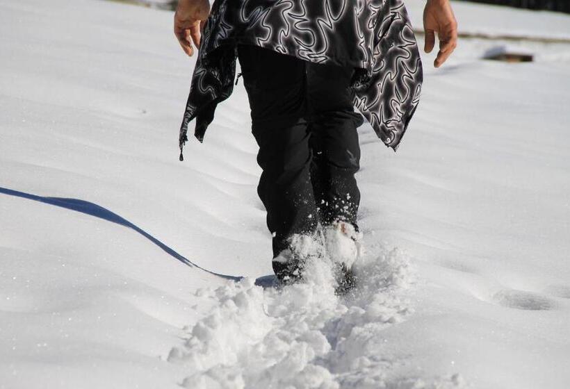 酒店 Unterpfaffstall Hof