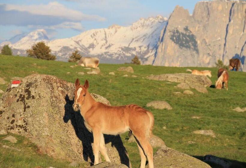 酒店 Unterpfaffstall Hof