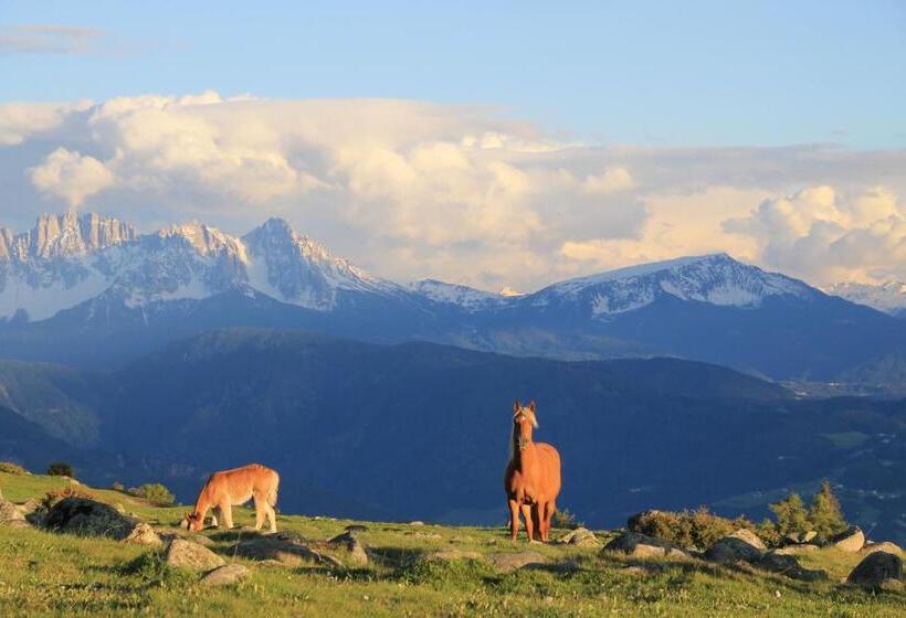 酒店 Unterpfaffstall Hof