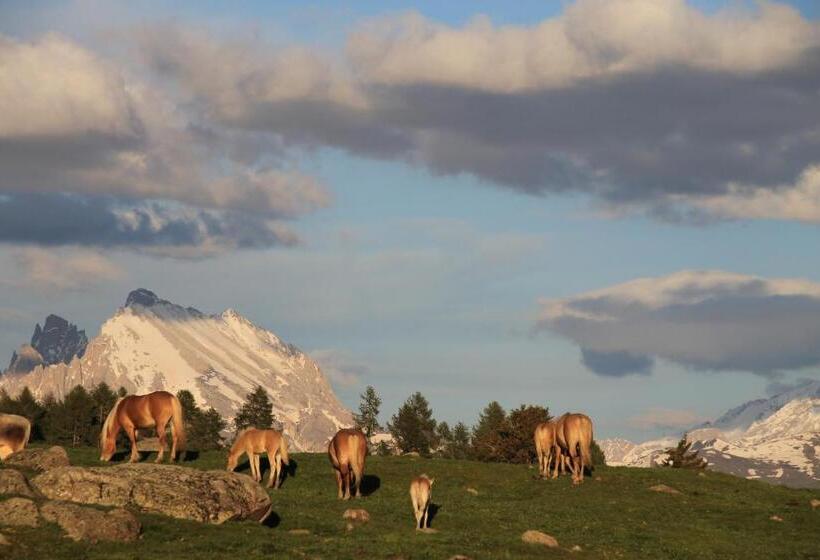 酒店 Unterpfaffstall Hof