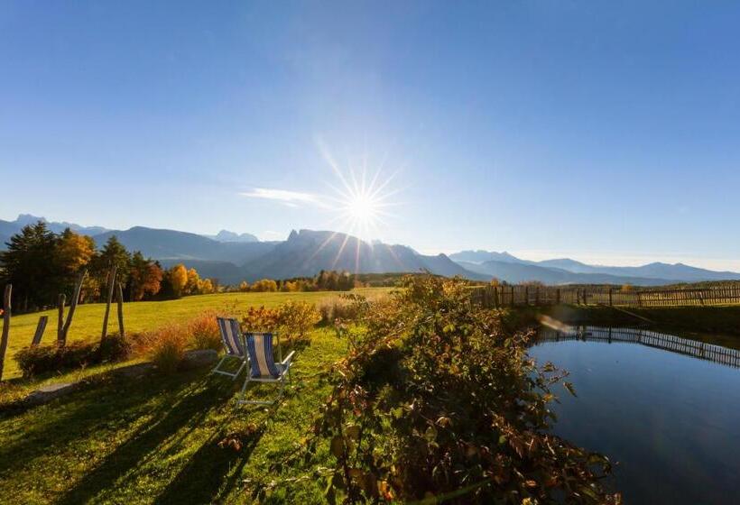 酒店 Unterpfaffstall Hof