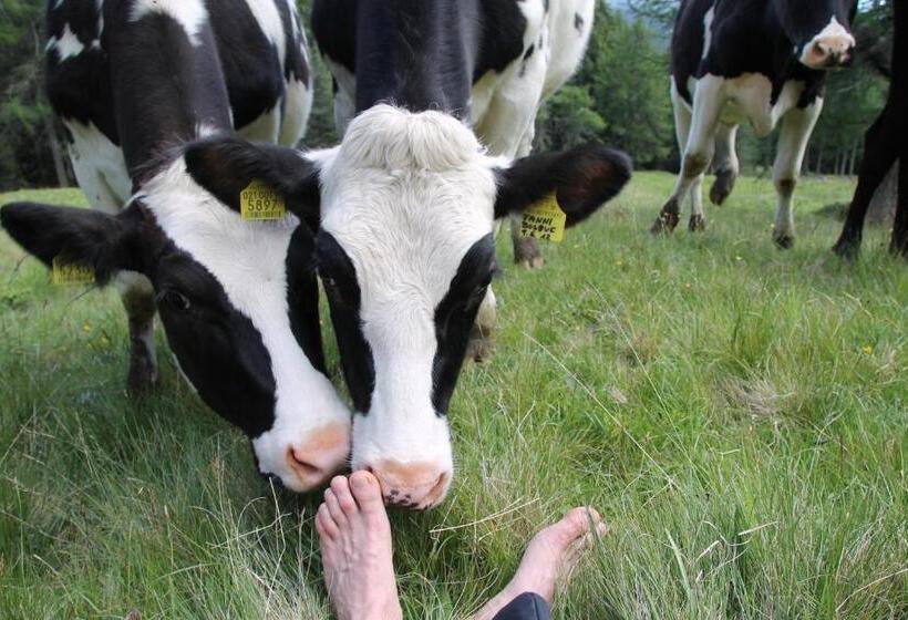 酒店 Unterpfaffstall Hof