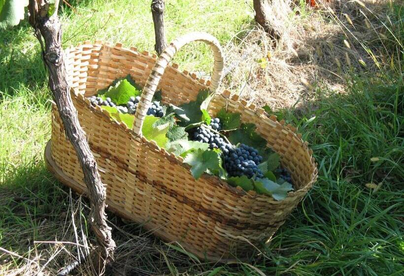 酒店 Unterpfaffstall Hof