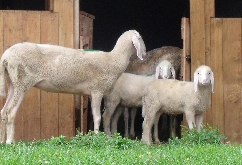 酒店 Unterpfaffstall Hof