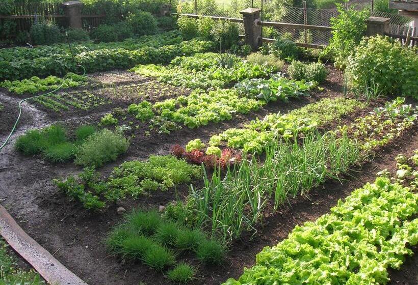 酒店 Unterpfaffstall Hof