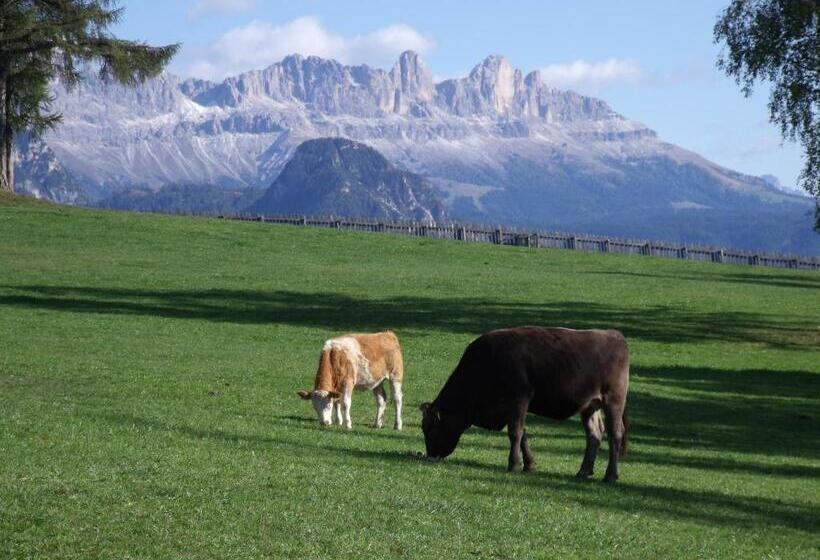 酒店 Unterpfaffstall Hof