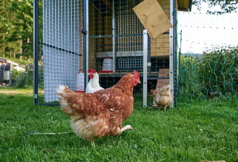 Пансион Landhaus Huber