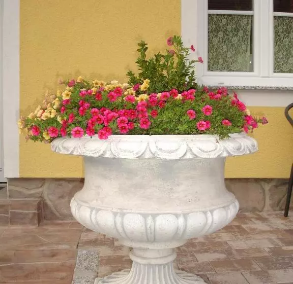 Retkeilymaja Gasthaus Zum Fuchs   Familie Andrä