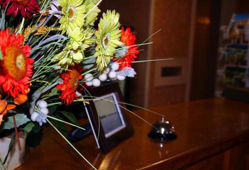 هاستل Haven Inn