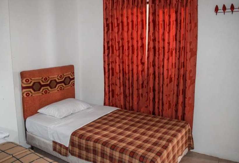 Szálló Hostal Humpback Internacional