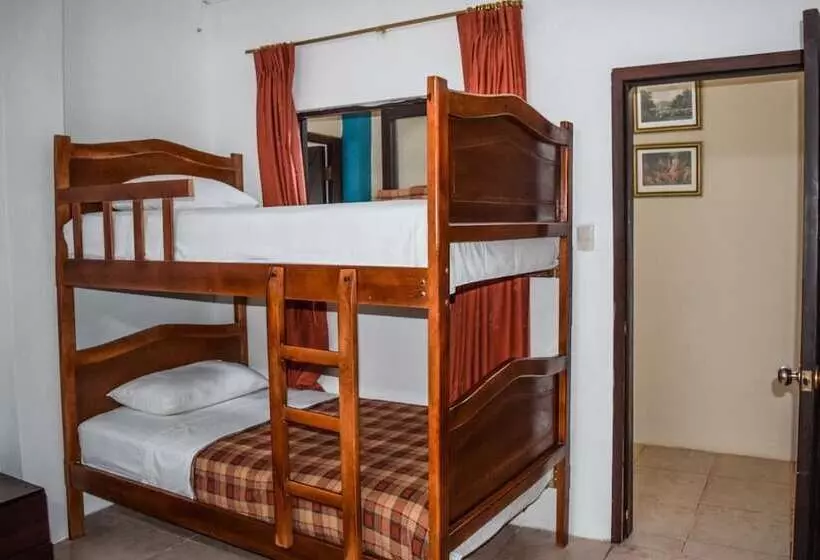 ユースホステル Hostal Humpback Internacional