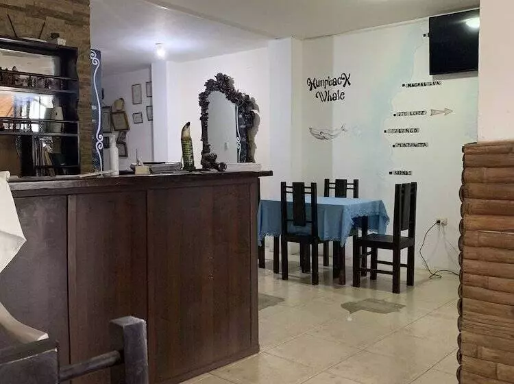 ユースホステル Hostal Humpback Internacional