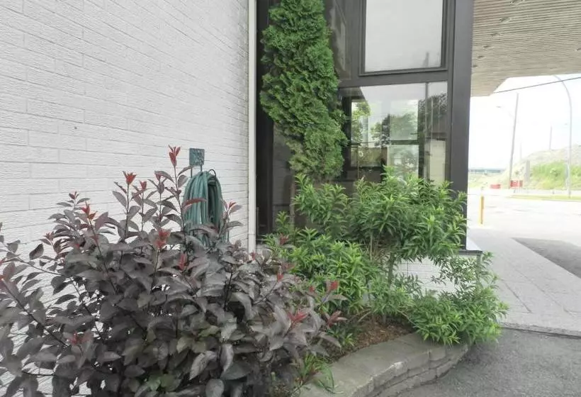 L'auberge De L'aeroport Inn