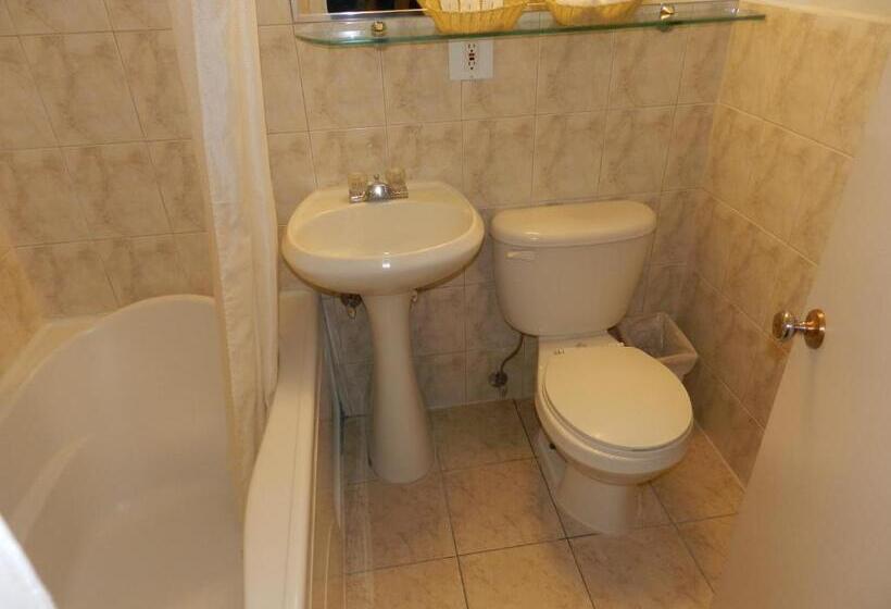 فندق صغير L'auberge De L'aeroport Inn