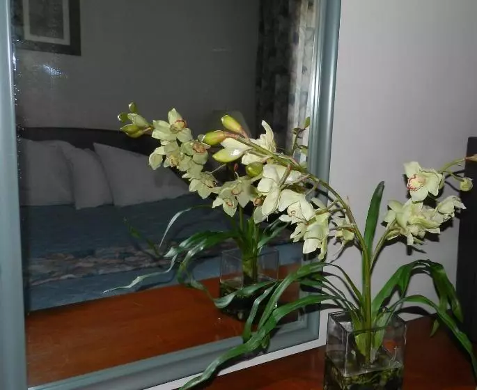 L'auberge De L'aeroport Inn