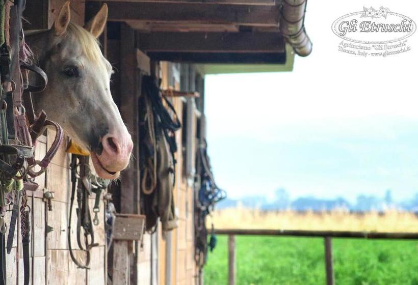 酒店 Agriturismo Gli Etruschi