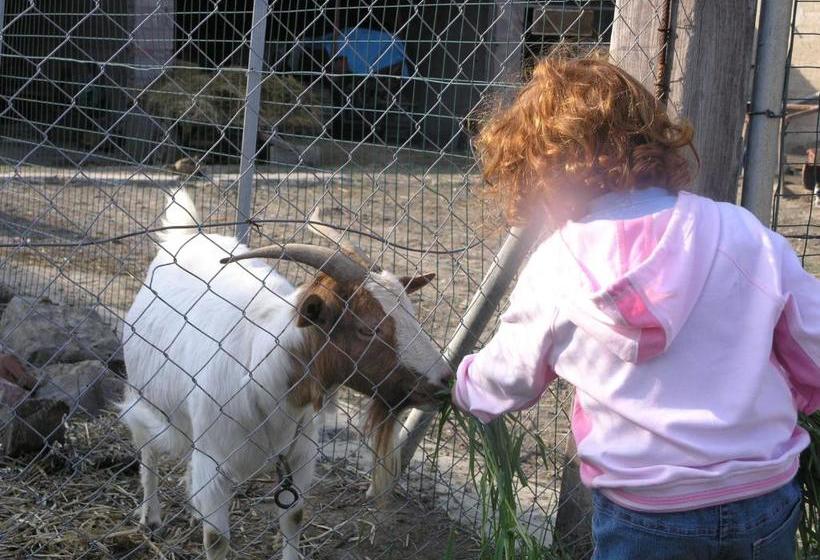 酒店 Agriturismo Gli Etruschi