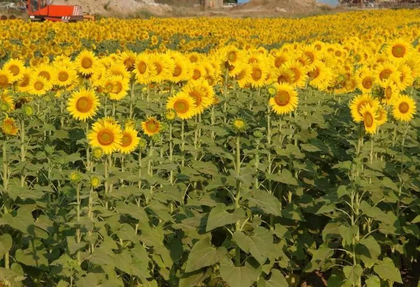 ホテル Agriturismo Gli Etruschi