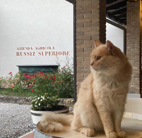 בית מלון כפרי Relais Russiz Superiore