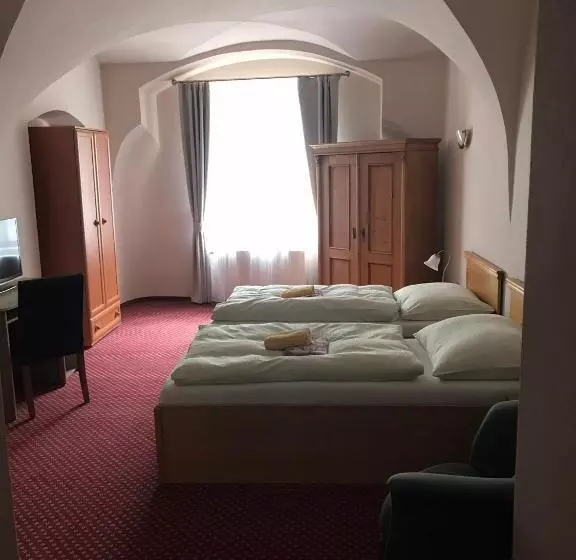 هتل U Zlateho Andela