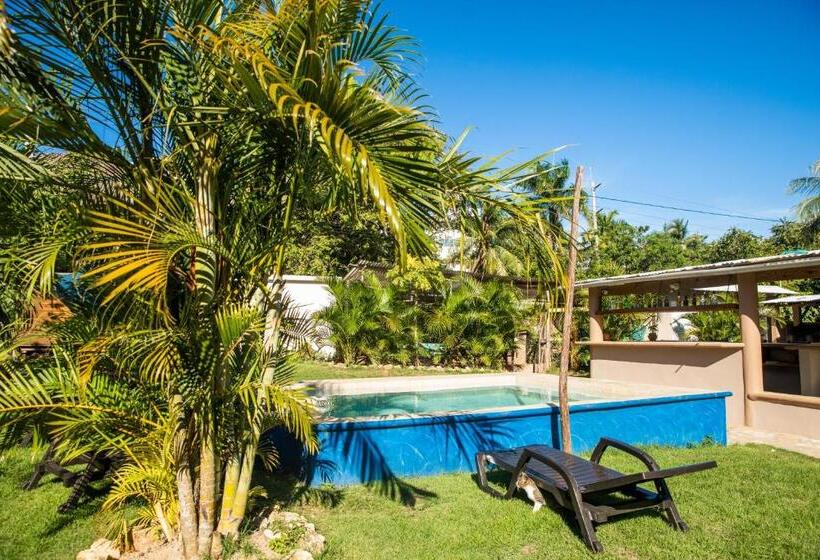 پانسیون Gipsy Ranch Rooms